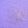 Tissu tulle élastique pailleté - lilas / argent (résille lycra®)