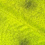 Large sequin lycra fabric - fluorescent yellow