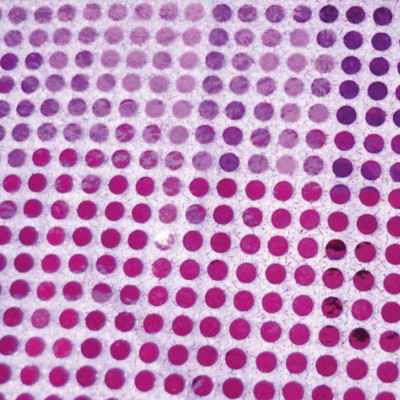 Tissu paillettes rondes - violet